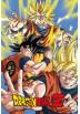 Poster Goku - Dragon Ball Z (POSTER 61 x 91,5)