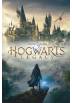 Poster Hogwarts Legacy - Harry Potter (POSTER 61 x 91,5)