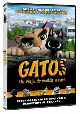 Gatos