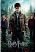 Poster Las reliquias de la Muerte - Harry Potter (POSTER 61x91.5)