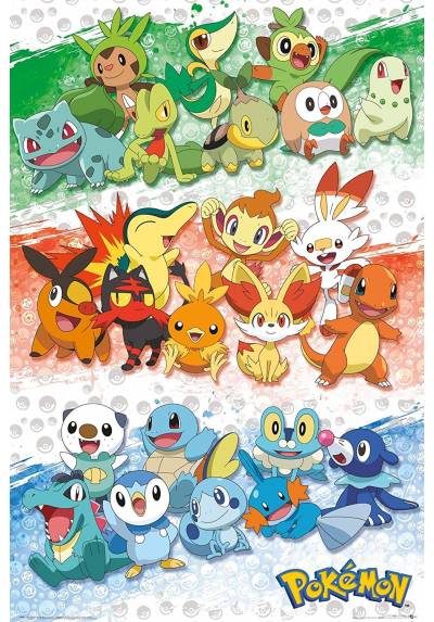 Poster First Partners - Pokemon (POSTER 61x91.5)