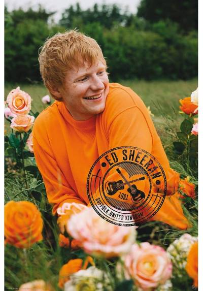 Poster Ed Sheeran (POSTER 61 x 91,5)