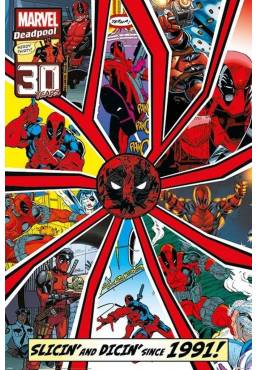 Poster Shattered - Deadpool (POSTER 61 x 91,5)