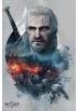 Poster Geralt - The Witcher (POSTER 61 x 91,5)