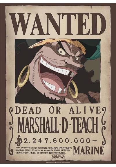 Poster Wanted Marshall D. Teach - One Piece (POSTER 52x38)