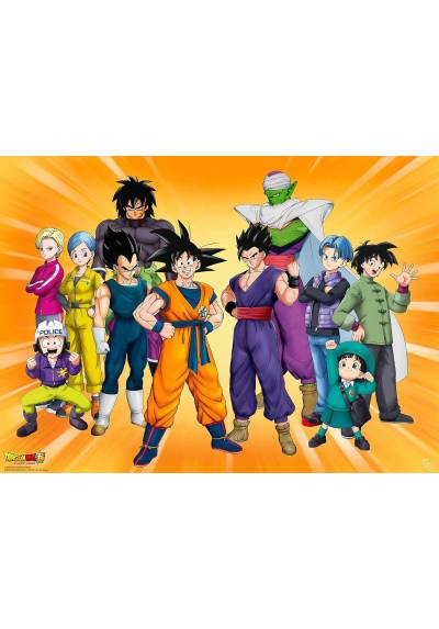 Poster Grupo Goku - Dragon Ball Super Hero (POSTER 38x52)