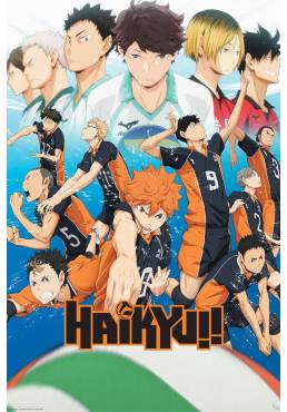 Poster Temporada 1 - Haikyu!! (POSTER 91,5 x 61)