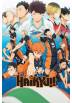 Poster Temporada 1 - Haikyu!! (POSTER 91,5 x 61)