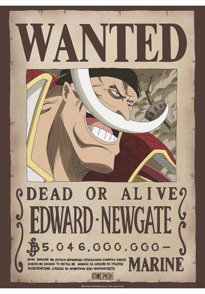Poster Wanted Edward Newgate - One Piece (POSTER 61 x 91,5)