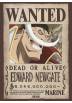 Poster Wanted Edward Newgate - One Piece (POSTER 61 x 91,5)