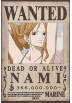 Poster Wanted Nami Wano - One Piece (POSTER 52x38)