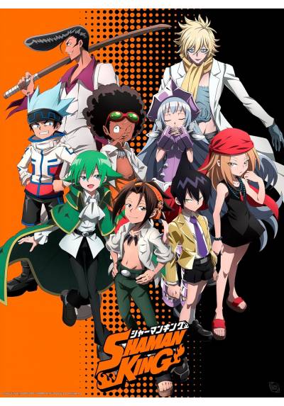 Poster Grupo - Shaman King (POSTER 52x38)