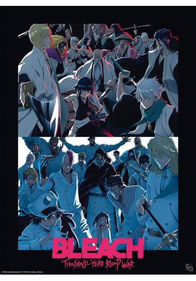 Poster Shinigami vs Quincy - Bleach TYBW (POSTER 52x38)