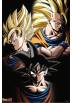 Poster Goku Transformacion - Dragon Ball (POSTER 52x38)