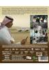 La candidata perfecta (Blu-ray) (The Perfect Candidate)