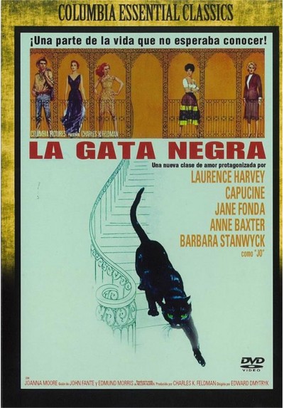 La Gata Negra (Walk On The Wild Side)