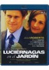 Luciernagas En El Jardin (Blu-Ray) (Fireflies In The Garden)