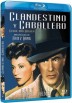Clandestino Y Caballero (Blu-Ray) (Cloak And Dagger)