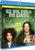 Ni Un Pelo De Listo (Blu-Ray) (Hairbrained)