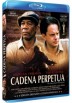 Cadena Perpetua (Blu-Ray) (Ed. Definitiva) (The Shawshank Redemption)