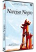 Narciso Negro (Dvd-R) Black Narcissus