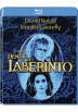 Dentro Del Laberinto (Blu-Ray) (Labyrinth)