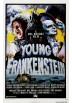 El Jovencito Frankenstein (POSTER)