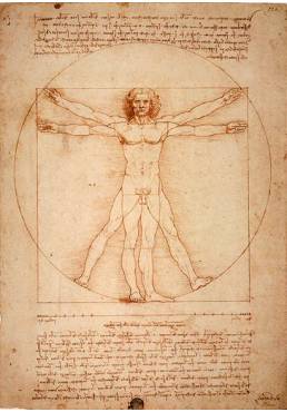 El Hombre de Vitruvio - Leonardo da Vinci (POSTER 32x45)