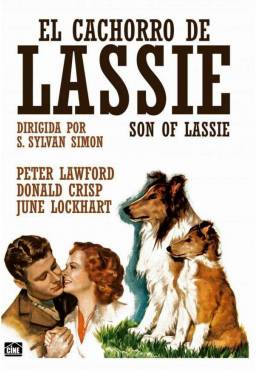 El Cachorro De Lassie (Son of Lassie)