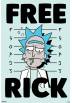 Poster Rick y Morty - Rick Libre  (Free Rick) (POSTER 61 x 91,5)