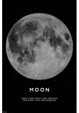 Poster La Luna (Moon) (POSTER 61 x 91,5)