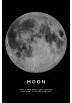 Poster La Luna (Moon) (POSTER 61 x 91,5)
