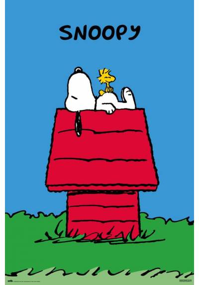 Poster Snoopy (POSTER 61 x 91,5)
