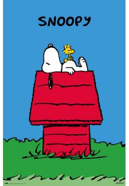 Poster Snoopy (POSTER 61 x 91,5)