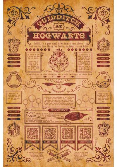 Poster Harry Potter - Quidditch en Hogwarts (POSTER 61 x 91,5)