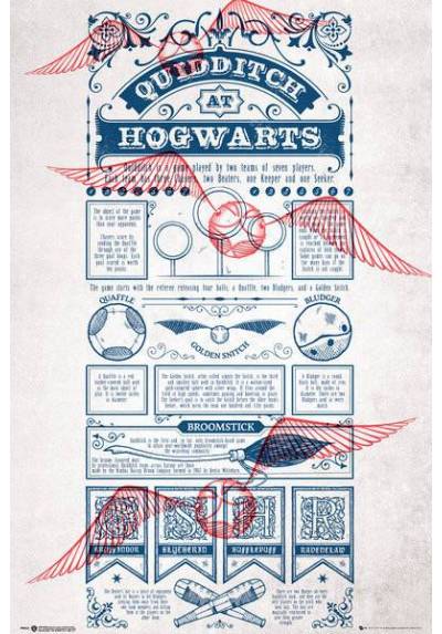 Poster Harry Potter - Quidditch en Hogwarts - Azul (POSTER 61 x 91,5)