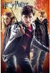 Poster Harry Potter - Trio (POSTER 61 x 91,5)