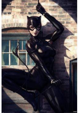 Poster Catwoman - Spot Light (POSTER 61 x 91,5)
