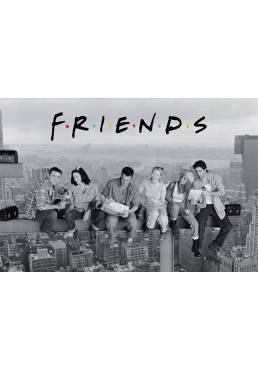 Friends En La Viga (POSTER 91.5x61)