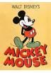 Lienzo Canvas Mickey Mouse - Disney (30X40)
