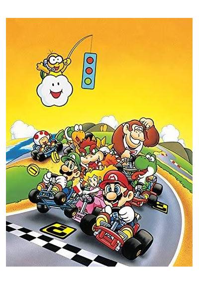 Lienzo Canvas Super Mario Kart Retro (30X40)