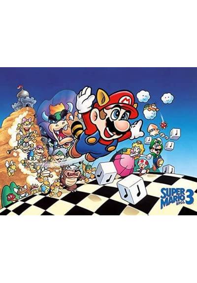 Lienzo Canvas Super Mario Bros 3 (30X40)