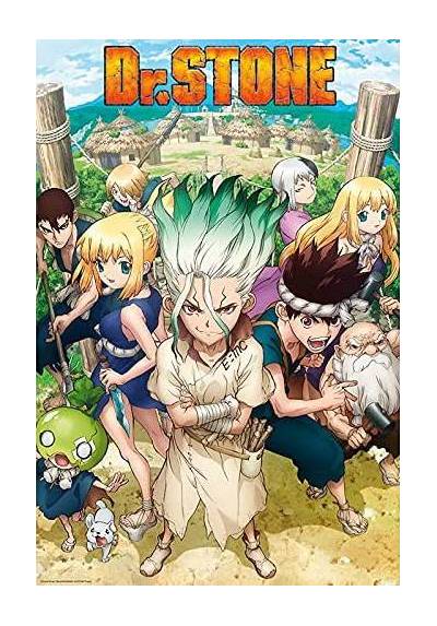 Poster Groupe - Dr Stone (POSTER 61 x 91,5)