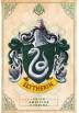 Poster Slytherin - Harry Potter (POSTER 61 x 91,5)