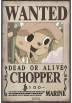 Set 2 Chibi Posters - Brook y Chopper - One Pice (POSTER 52x38)