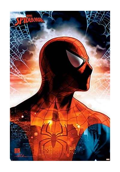 Poster Spiderman - Marvel Comics (POSTER 91.5x61)