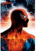 Poster Spiderman - Marvel Comics (POSTER 91.5x61)