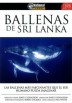 Ballenas de Sri Lanka (National Channel)