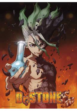 Poster Senku - Dr Stone (POSTER 52 x 38)