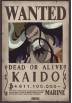 Poster Wanted Kaido - One Piece (POSTER 52 x 35)